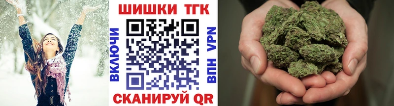 МЕФ Донской