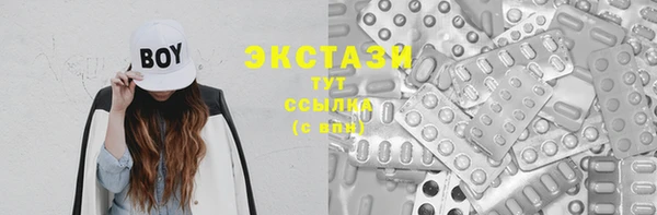 крисы Надым