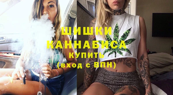 крисы Надым