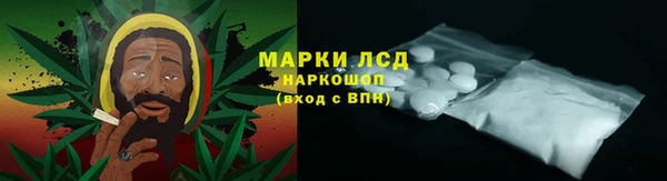 крисы Надым