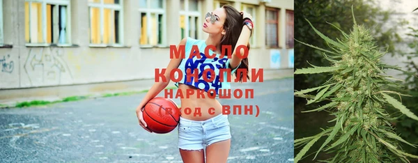крисы Надым