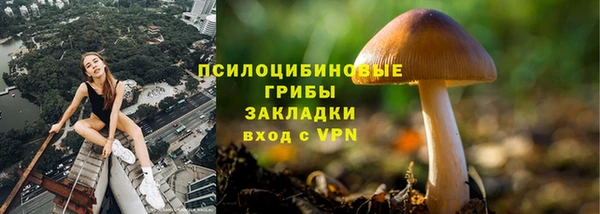 крисы Надым