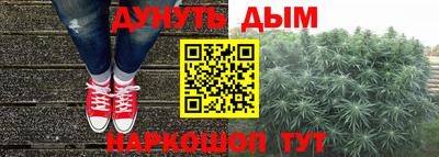 гидропоника Гагарин