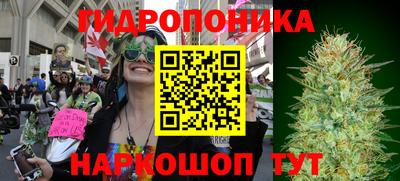 бутират Гай