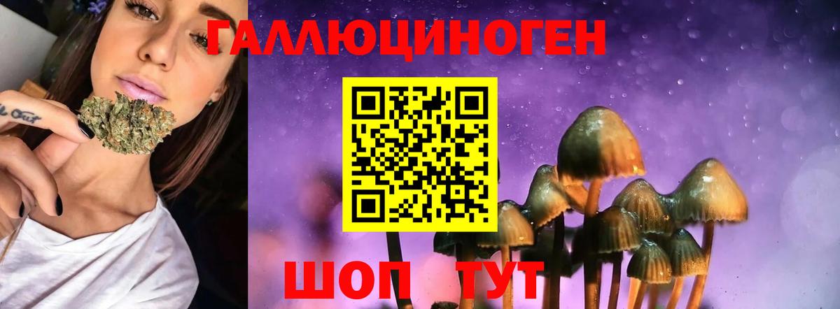 Галлюциногенные грибы ЛСД  купить   Донской  Вход с VPN 